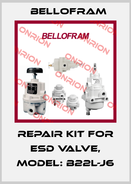 Repair kit for ESD Valve, Model: B22L-J6 Bellofram