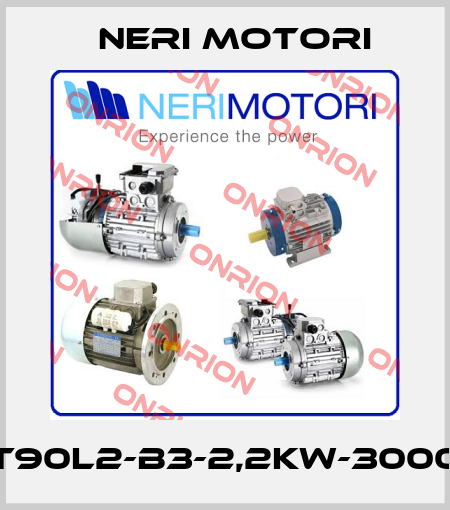 T90L2-B3-2,2kW-3000 Neri Motori