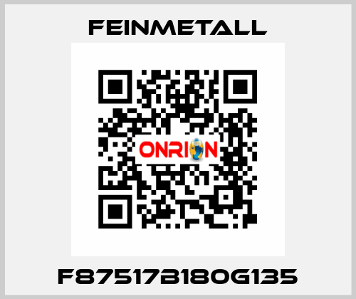 F87517B180G135 FEINMETALL