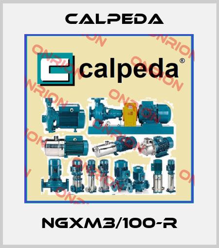 NGXM3/100-R Calpeda