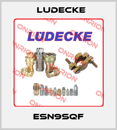 ESN9SQF Ludecke