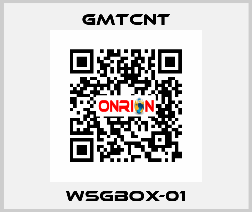 WSGBOX-01 GMTCNT