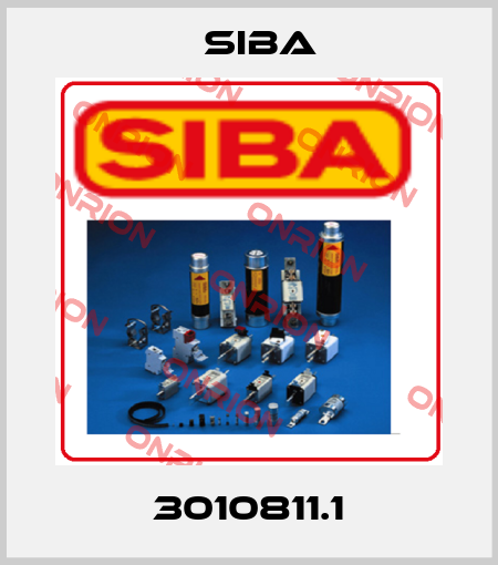 3010811.1 Siba