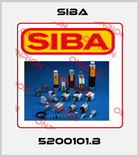 5200101.B Siba