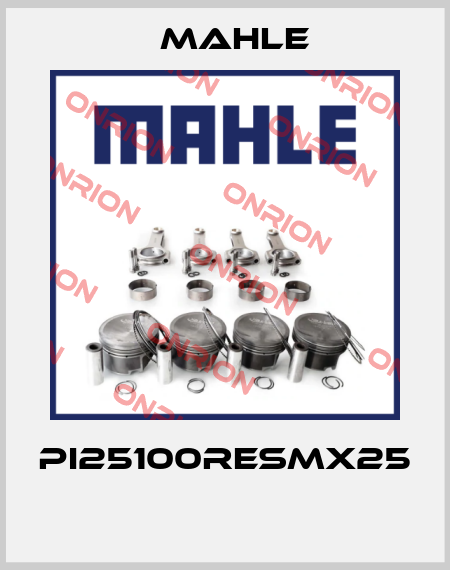 PI25100RESMX25  MAHLE