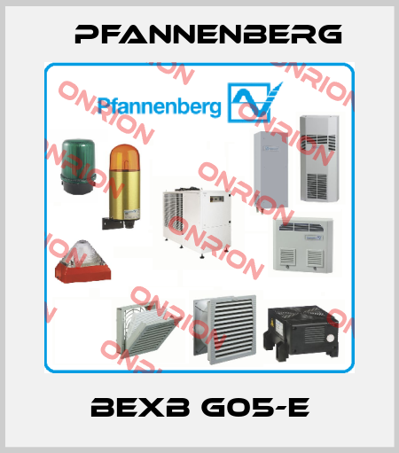 BExB G05-E Pfannenberg