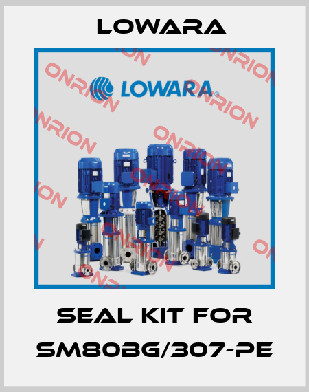 Seal kit for SM80BG/307-PE Lowara