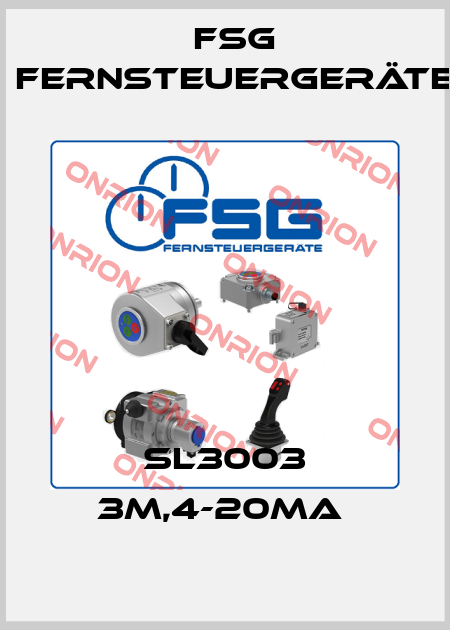 SL3003 3M,4-20MA  FSG Fernsteuergeräte
