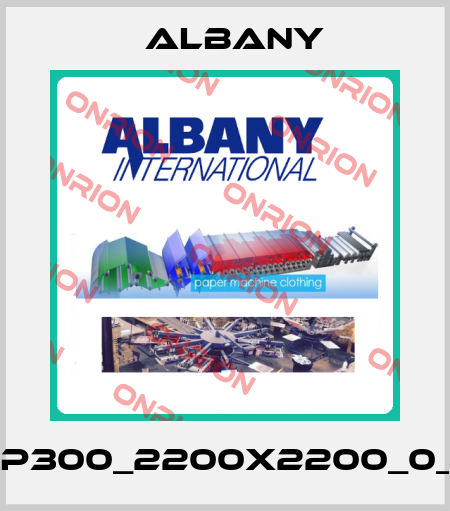 RP300_2200x2200_0_L Albany