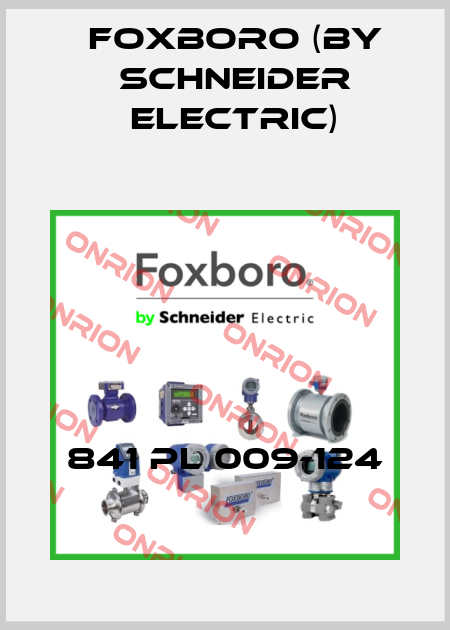 841 PL 009-124 Foxboro (by Schneider Electric)