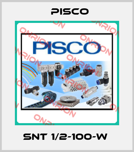 SNT 1/2-100-W  Pisco