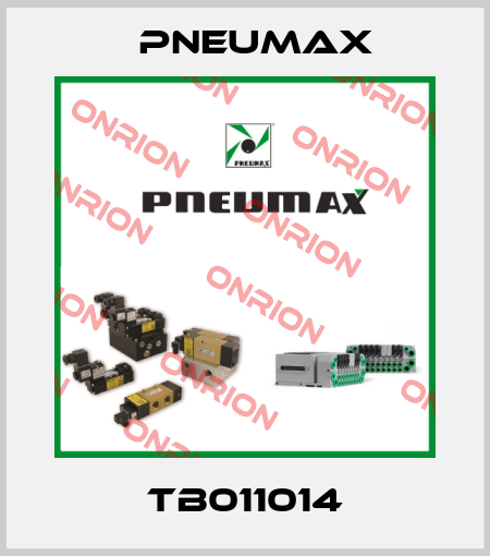 TB011014 Pneumax