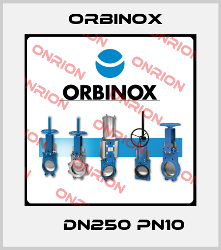 ЕВ DN250 PN10 Orbinox
