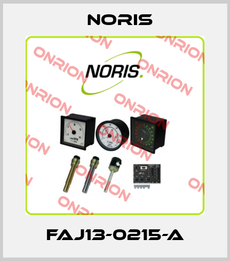 FAJ13-0215-A Noris