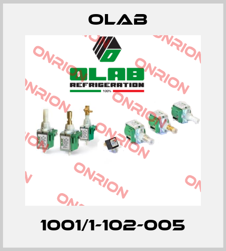 1001/1-102-005 Olab