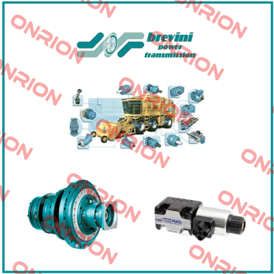 LM2 RV 0806-056119 Brevini