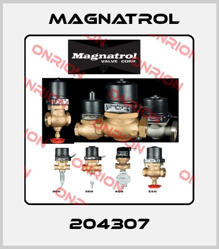204307 Magnatrol