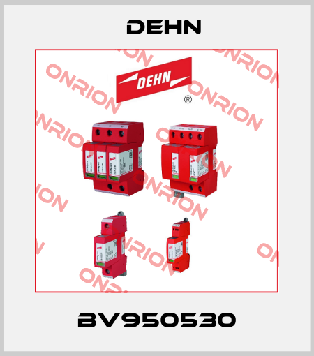 BV950530 Dehn