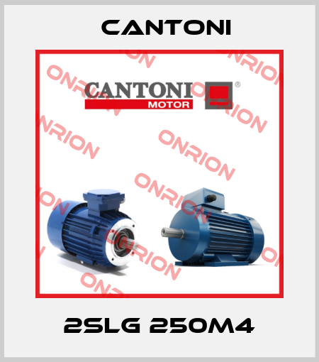 2SLg 250M4 Cantoni