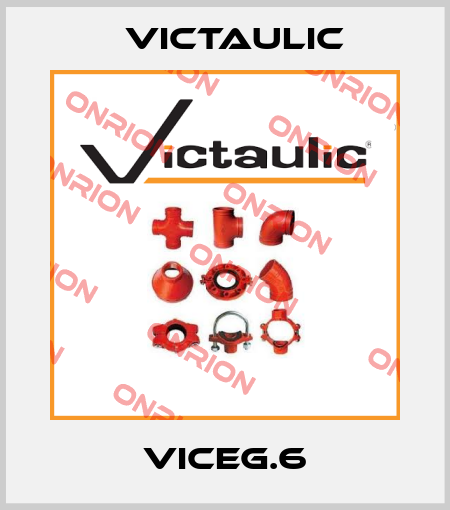 VICEG.6 Victaulic