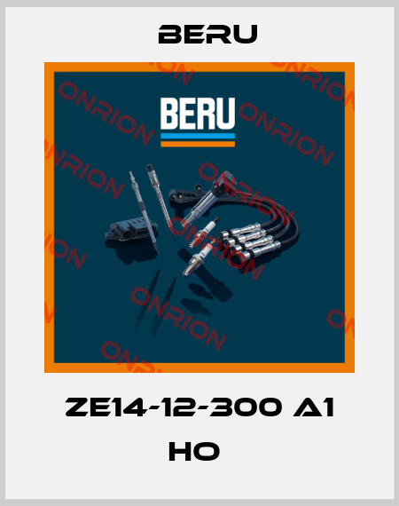 ZE14-12-300 A1 HO  Beru