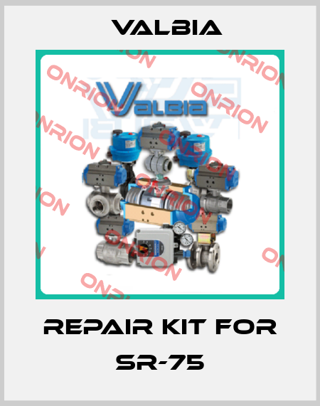 Repair Kit for SR-75 Valbia