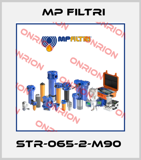 STR-065-2-M90  MP Filtri