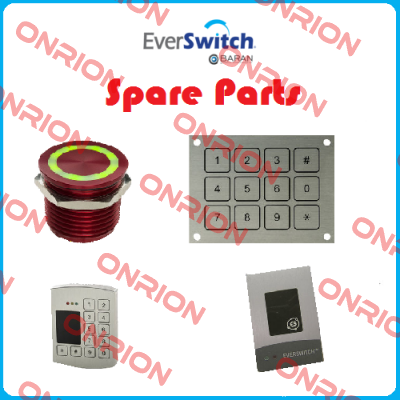 SW PLAYWORLD  Everswitch