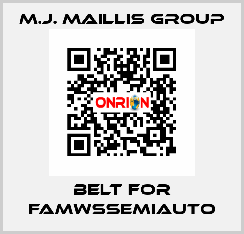 belt for FAMWSSEMIAUTO M.J. MAILLIS GROUP