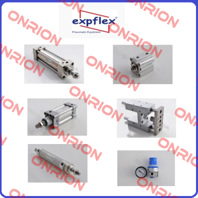 AR2000-02 EXPFLEX