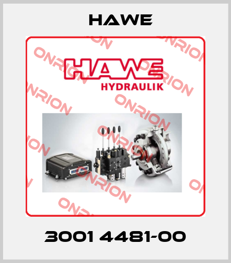 3001 4481-00 Hawe