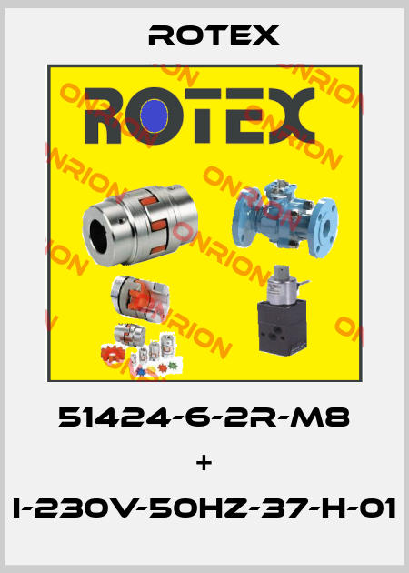 51424-6-2R-M8 + I-230V-50HZ-37-H-01 Rotex