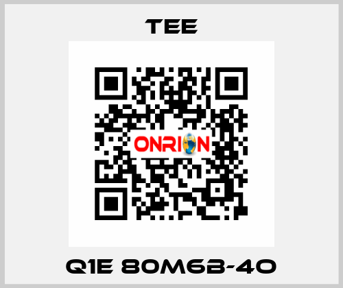 Q1E 80M6B-4O TEE