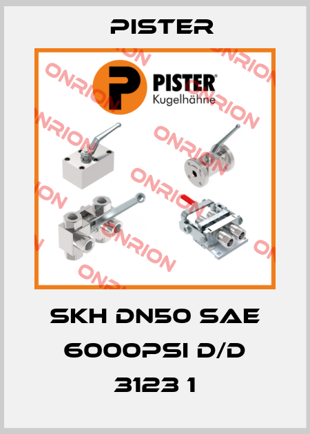 SKH DN50 SAE 6000psi D/D 3123 1 Pister