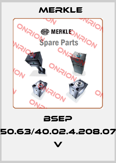 BSEP 250.63/40.02.4.208.075 V Merkle