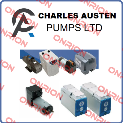 S02-054 Charles Austen Pumps