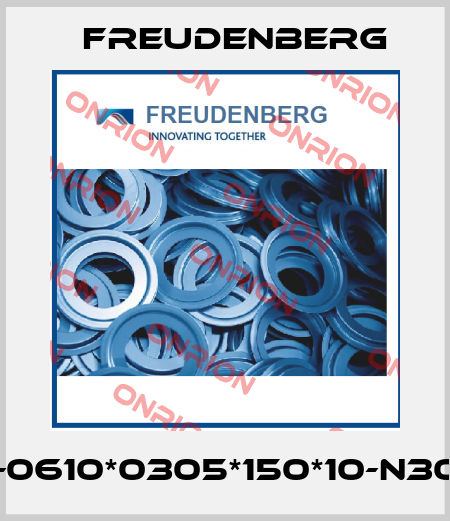 SF13-K-0610*0305*150*10-N30N-H45 Freudenberg