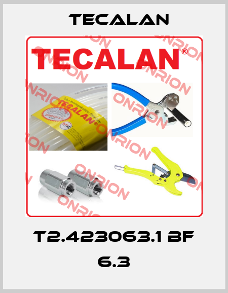 T2.423063.1 BF 6.3 Tecalan