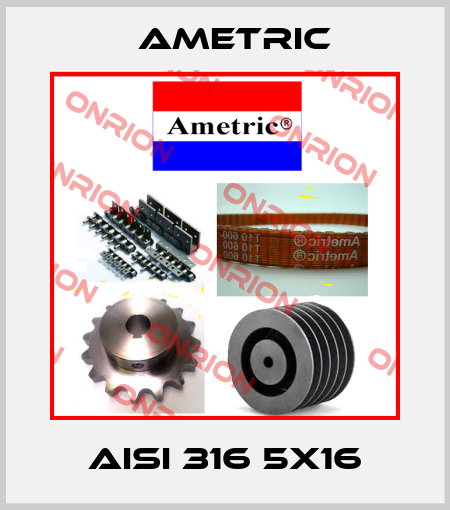 AISI 316 5X16 Ametric