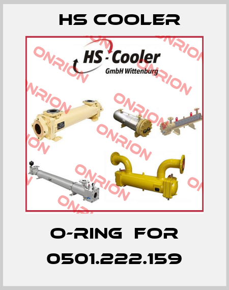O-Ring  for 0501.222.159 HS Cooler