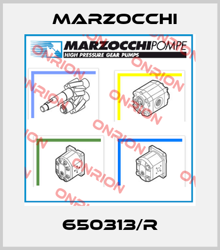 650313/R Marzocchi