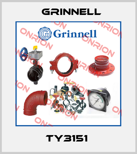 TY3151  Grinnell