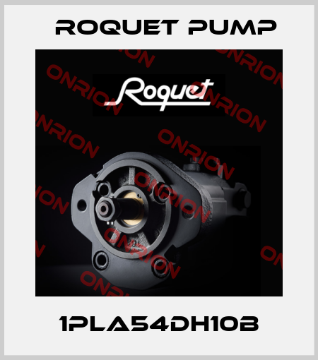 1PLA54DH10B Roquet pump