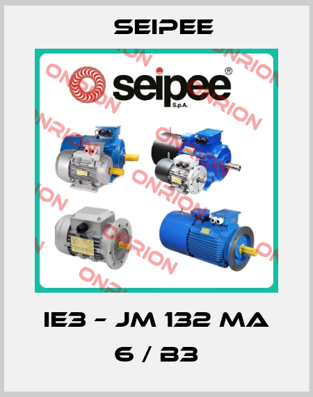 IE3 – JM 132 MA 6 / B3 SEIPEE
