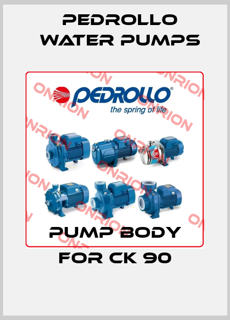 Pump body for CK 90 Pedrollo Water Pumps