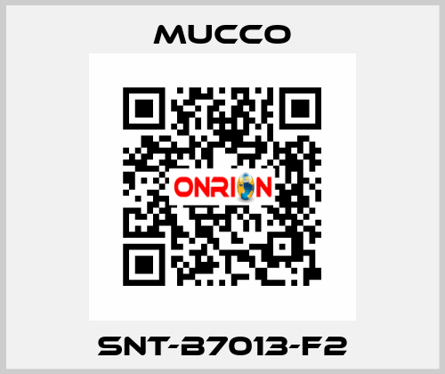 SNT-B7013-F2 mucco