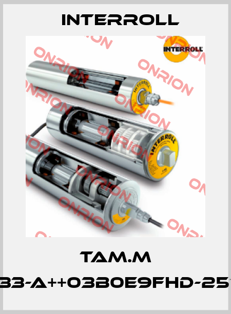 TAM.M DM1133-A++03B0E9FHD-257MM Interroll