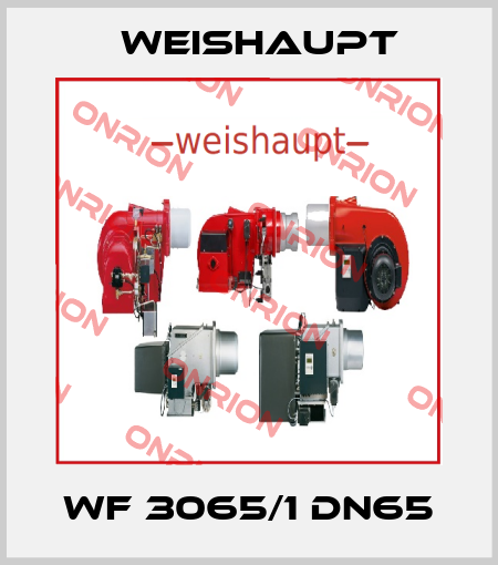 WF 3065/1 DN65 Weishaupt