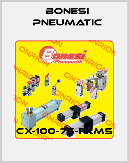 CX-100-75-FKMS Bonesi Pneumatic