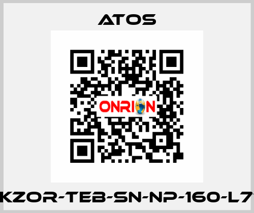 DLKZOR-TEB-SN-NP-160-L71/Q Atos